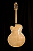 Archtop Accoustic 2