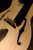 Archtop Accoustic 10